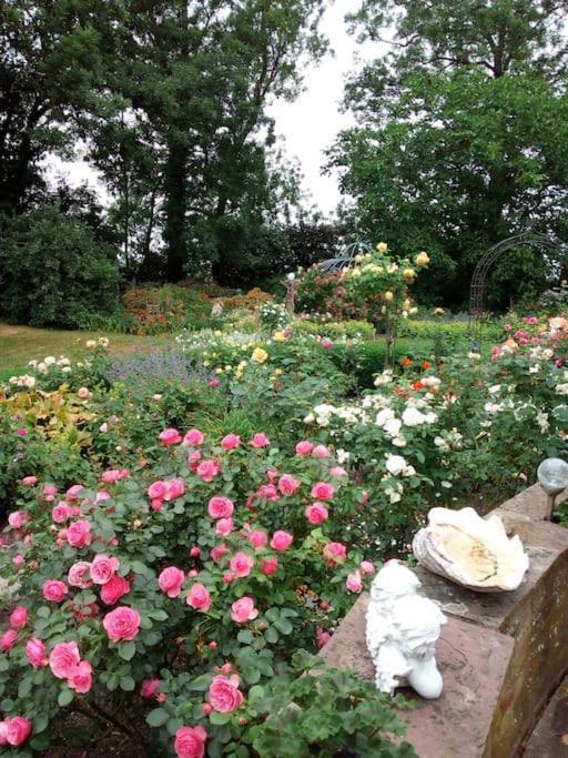 Ferienhaus Rosengarten Loxstedt Esterno foto